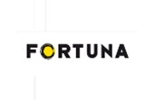 Fortuna (-4 %) nedosáhla v 1H trhem očekávaných zisků ani díky fotbalovému Euru 2012
