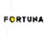 Fortuna - Komentář k výsledkům za 4Q15: Žádné dividendy, slabý výhled