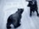 Technická analýza: Medvědi si zasedli na ropný trh