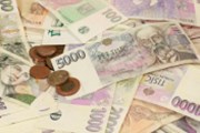 Zadlužení českých domácností v lednu stouplo na 1,653 bilionu Kč