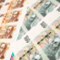 Výhled pro měny středoevropského regionu dle Reuters: Koruna za půl roku u 24,825 k euru