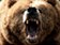 Ropný medvěd: Ceny klesnou až k 25 dolarům za barel